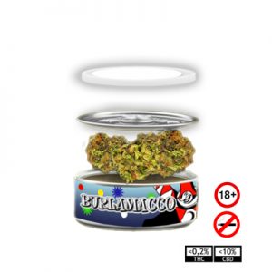 Burlamacco 3,5 gr