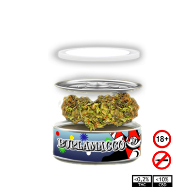 Burlamacco 3,5 gr